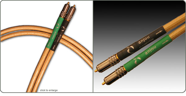 Anjou Analog Interconnect