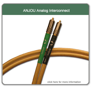 ANJOU Analog Interconnect